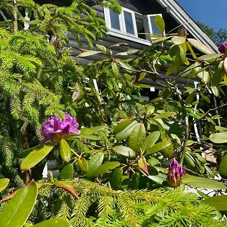Casa Steinbekken *