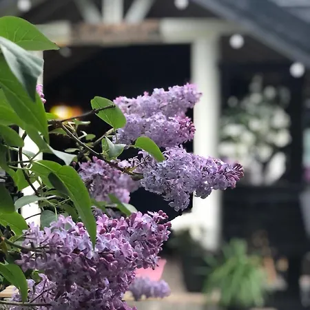 Villa Casa Steinbekken Eidsvoll